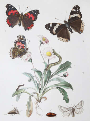 Milliere, P. - photo 1