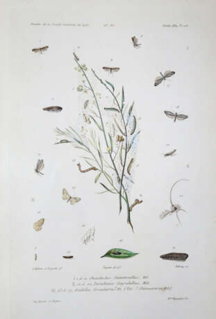 Milliere, P. - photo 4