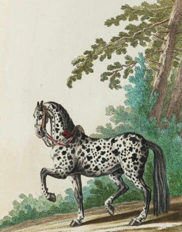 Ridinger, J.E. - photo 1