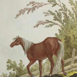 Ridinger, J.E. - photo 3