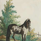 Ridinger, J.E. - photo 9