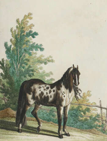 Ridinger, J.E. - photo 9