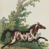 Ridinger, J.E. - photo 14