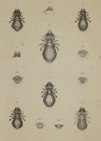 Piaget, E. - photo 2