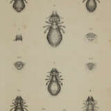 Piaget, E. - photo 2