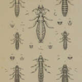 Piaget, E. - photo 3