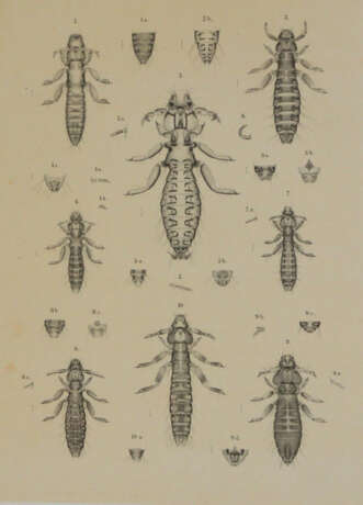 Piaget, E. - photo 3