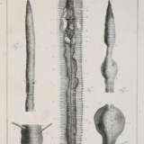 Morren, C.F.A. - фото 1