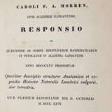 Morren, C.F.A. - фото 2