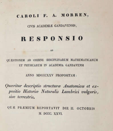 Morren, C.F.A. - фото 2 Morren, C.F.A. - фото 2