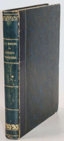 Morren, C.F.A. - фото 3 Morren, C.F.A. - фото 3