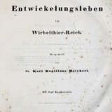 Reichert, K.B. - фото 1