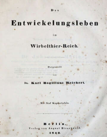 Reichert, K.B. - фото 1