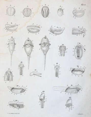 Reichert, K.B. - фото 2