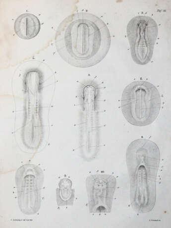 Reichert, K.B. - фото 3