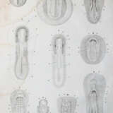 Reichert, K.B. - фото 3