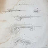 Reichert, K.B. - фото 4