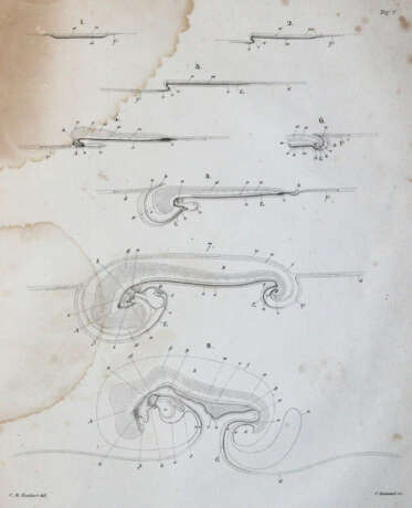 Reichert, K.B. - фото 4