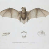 Sagra, R.de la. - фото 1