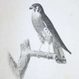 Sagra, R.de la. - фото 2