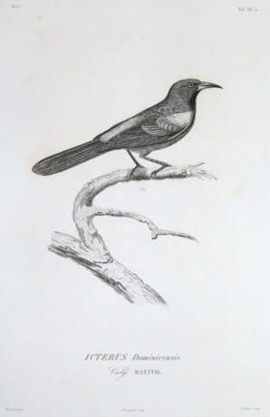 Sagra, R.de la. - фото 3 Sagra, R.de la. - фото 3