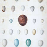 Sagra, R.de la. - фото 5