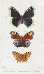 Godart, J. u. P.Duponchel.