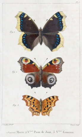 Godart, J. u. P.Duponchel. - фото 1 Godart, J. u. P.Duponchel. - фото 1