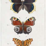 Godart, J. u. P.Duponchel. - фото 1