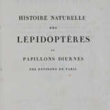 Godart, J. u. P.Duponchel. - фото 3