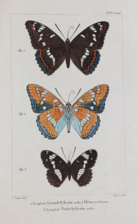 Godart, J. u. P.Duponchel. - фото 4 Godart, J. u. P.Duponchel. - фото 4