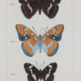 Godart, J. u. P.Duponchel. - фото 4