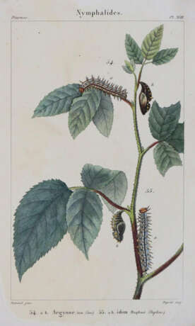 Godart, J. u. P.Duponchel. - фото 5 Godart, J. u. P.Duponchel. - фото 5