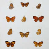 Mabille, P. - фото 1