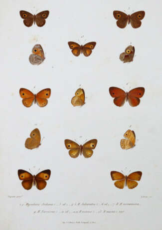 Mabille, P. - фото 1