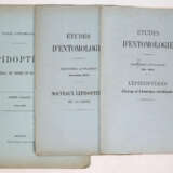 Mabille, P. - фото 4