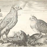 Briot, Marie. - photo 2