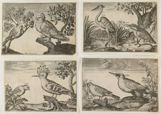 Briot, Marie. - photo 4