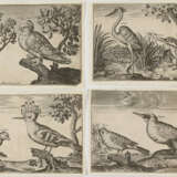 Briot, Marie. - photo 4