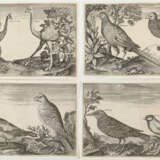 Briot, Marie. - photo 5