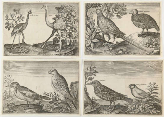 Briot, Marie. - photo 5