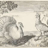 Briot, Marie. - photo 6