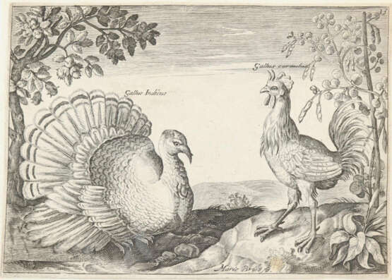 Briot, Marie. - photo 6