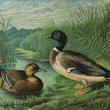 Maar, A. - фото 1