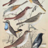 Friderich, C.B. - photo 2