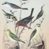 Friderich, C.B. - photo 3