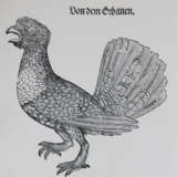 Gessner, C. - photo 1