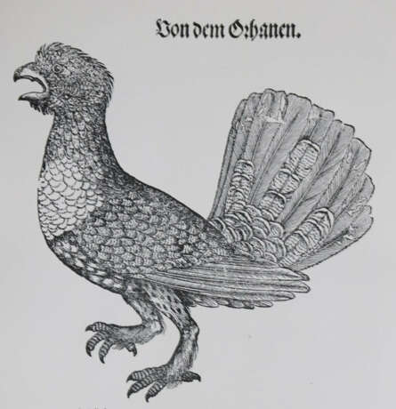 Gessner, C. - photo 1