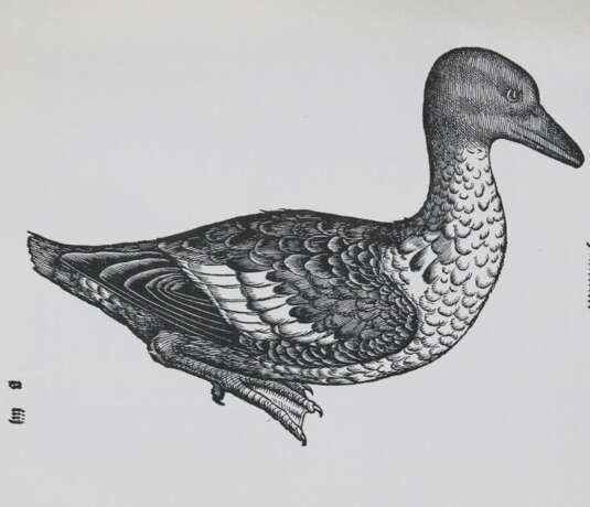 Gessner, C. - photo 3