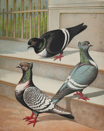 Prütz, G. (Hrsg.), - photo 1